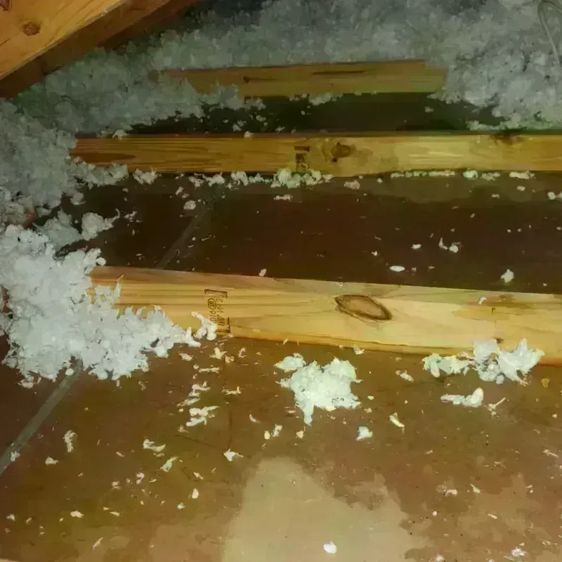 Attic Water Damage in Lake Winnebago, MO