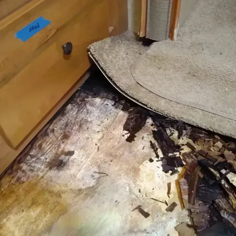 Best Wood Floor Water Damage Service in Lake Winnebago, MO